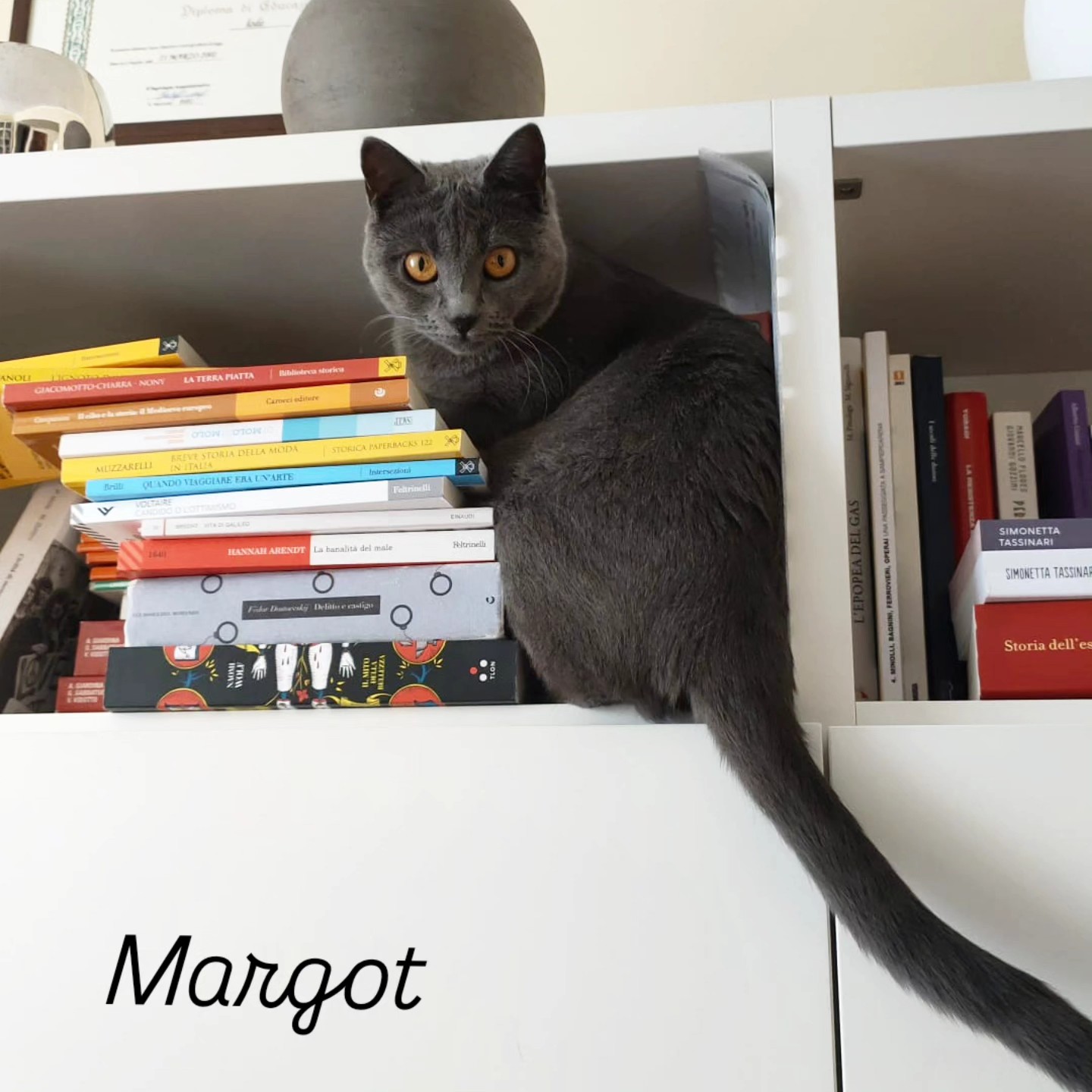 Margot di Castelletto